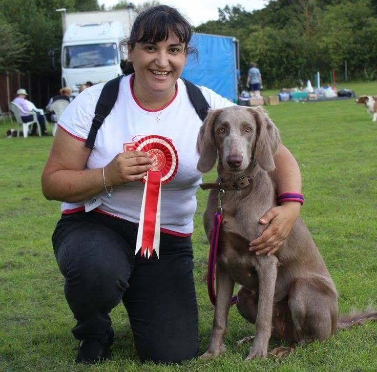 Witham & District DTS Open Obedience Show